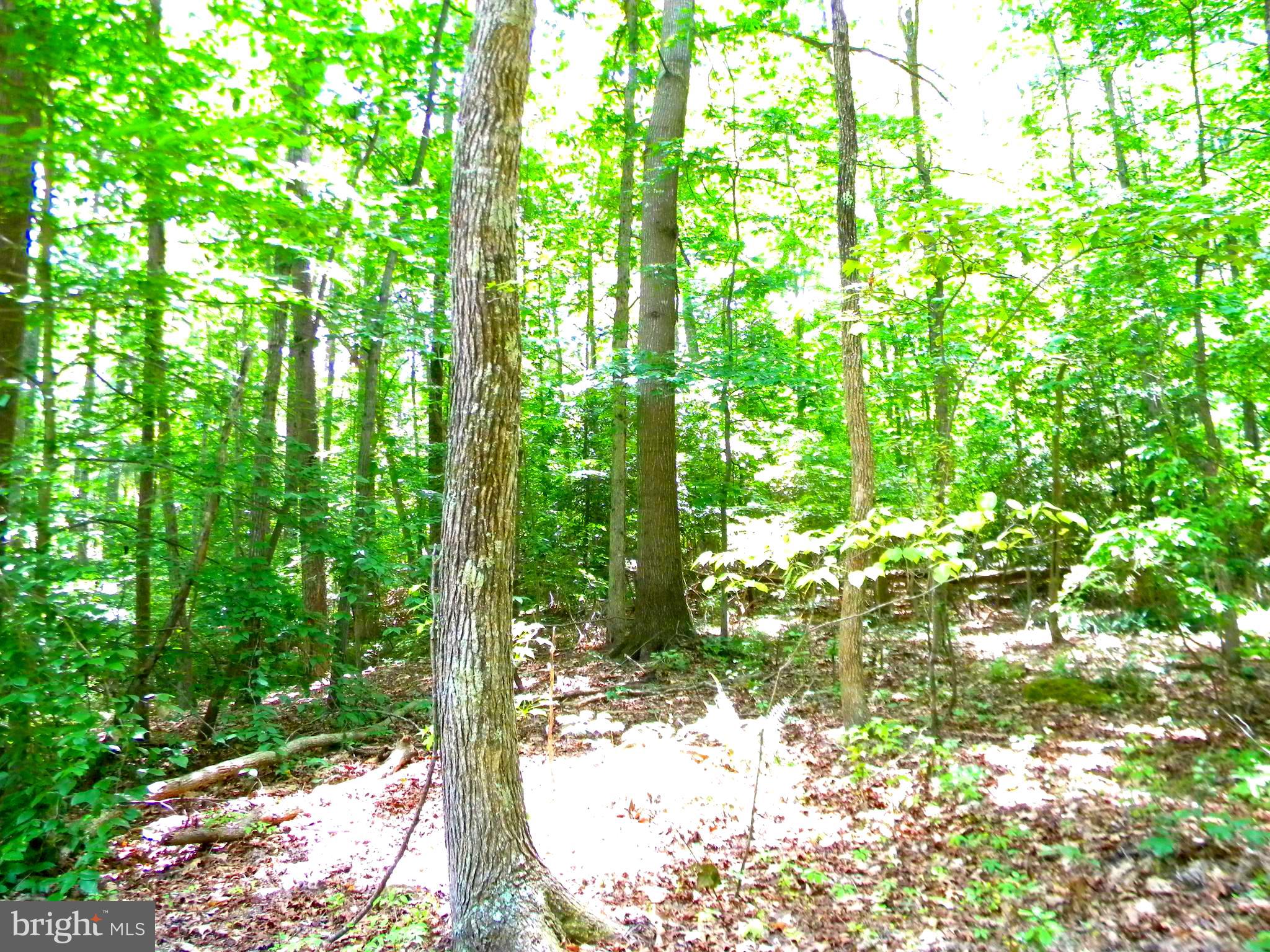 Lot 10 Thunder Road King George, VA 22485 - Photo 19 of 30 Gallery Image 19