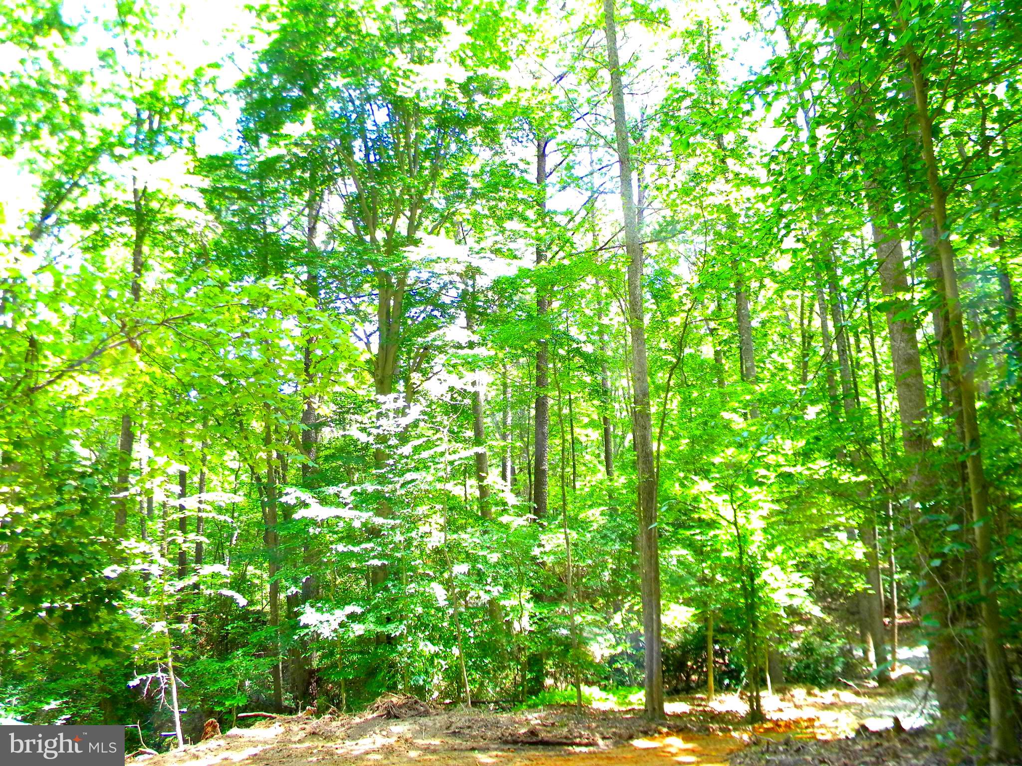 Lot 10 Thunder Road King George, VA 22485 - Photo 24 of 30 Gallery Image 24