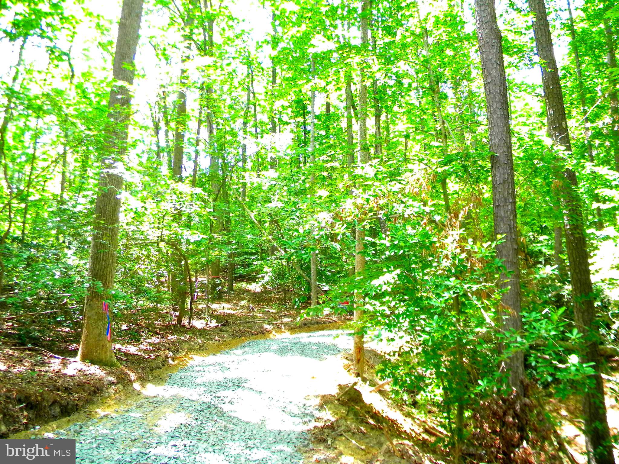 Lot 10 Thunder Road King George, VA 22485 - Photo 3 of 30 Gallery Image 3