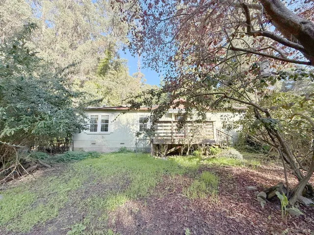 a big yard with large trees
