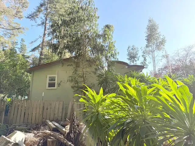 a view of a garden with plants