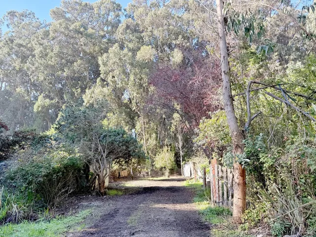 a view of outdoor space and yard