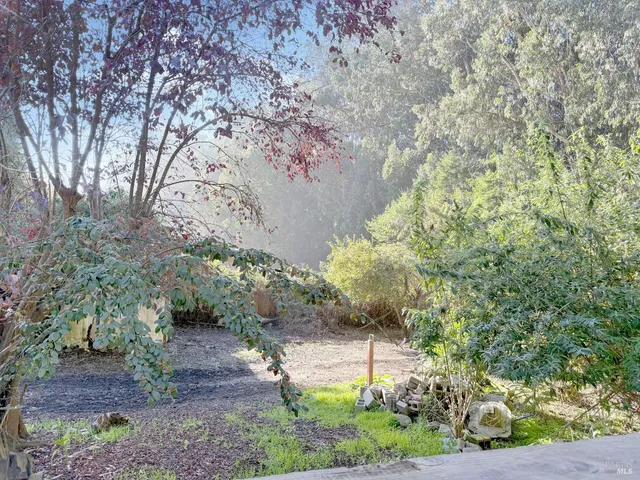 a backyard of a house with lots of green space