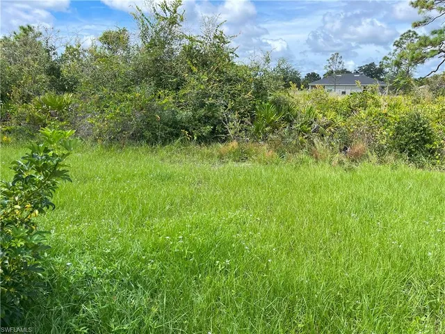 a view of a backyard with plants and a garden