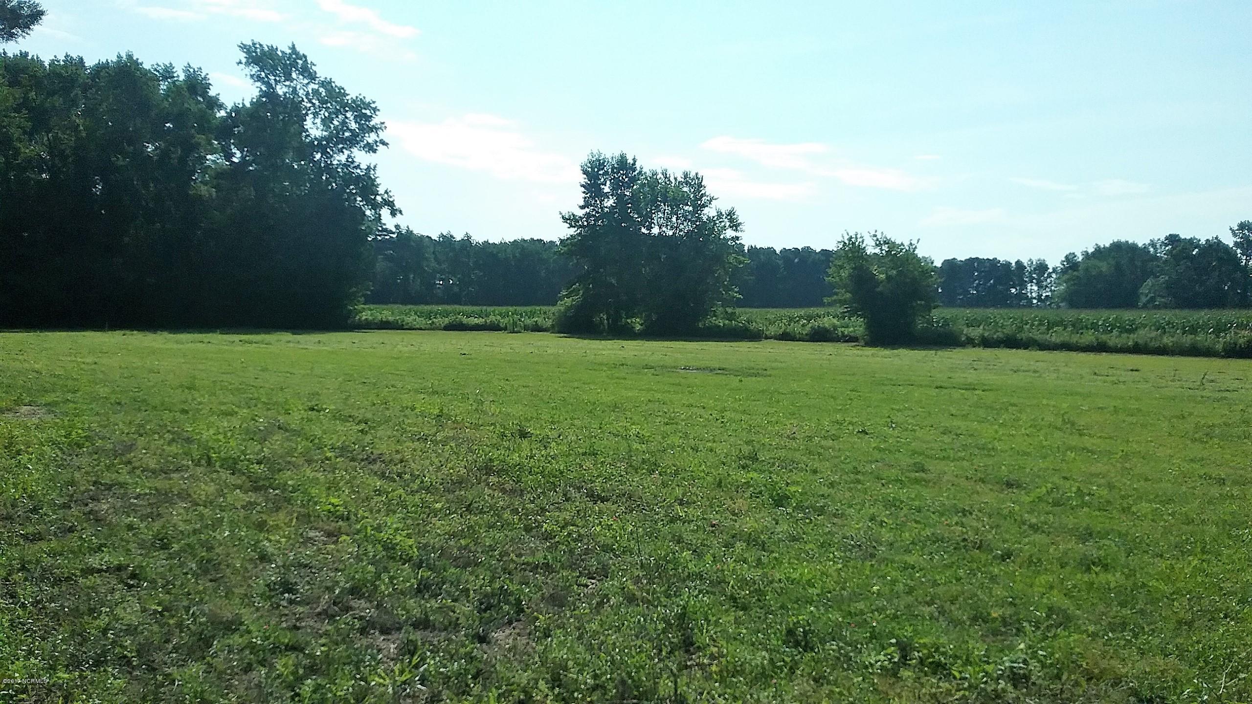 388 Blackmore Road Warsaw, NC 28398 - Photo 4 of 38 20170702_092337