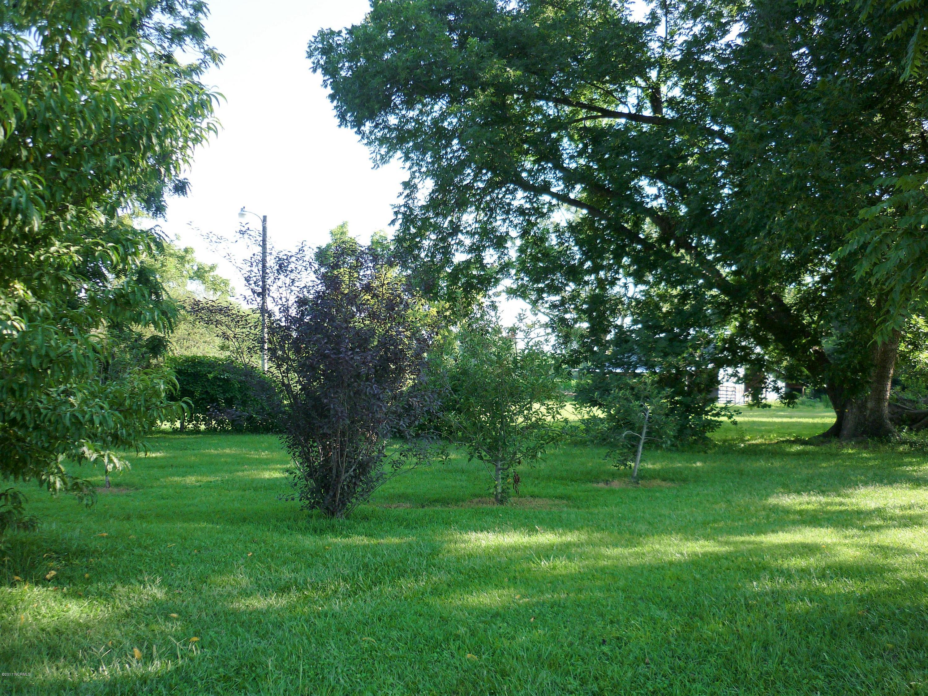 388 Blackmore Road Warsaw, NC 28398 - Photo 5 of 38 P1030942