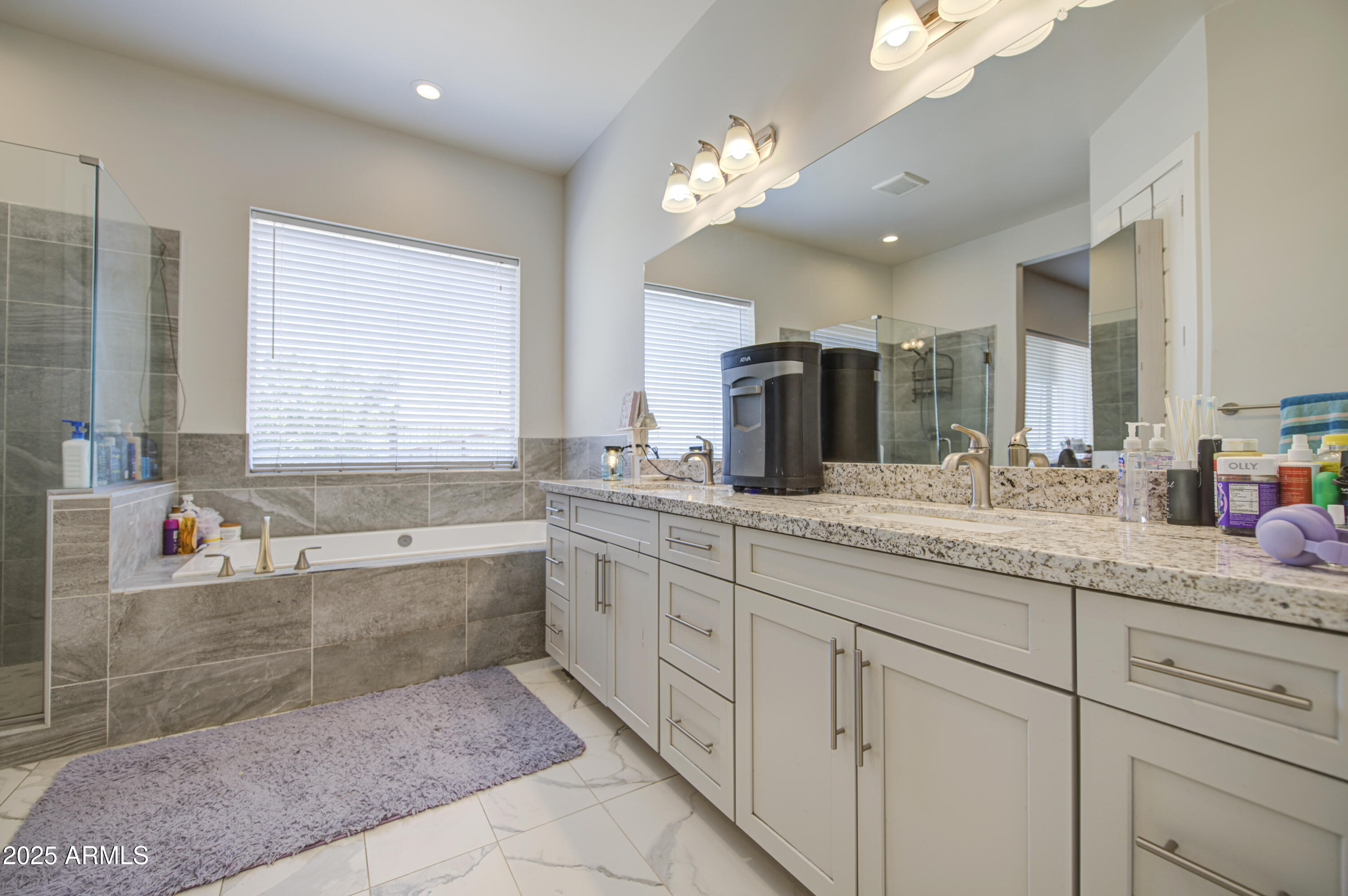 9759 East Brown Road Mesa, AZ 85207 - Photo 20 of 52 Primary Bath 1