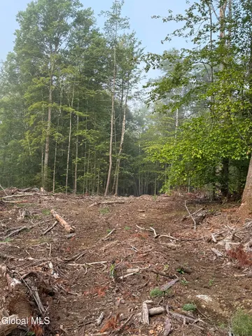 $145,000 | 336 Dickinson Hill Road, Bolton, NY 12824