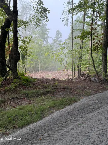 $145,000 | 336 Dickinson Hill Road, Bolton, NY 12824