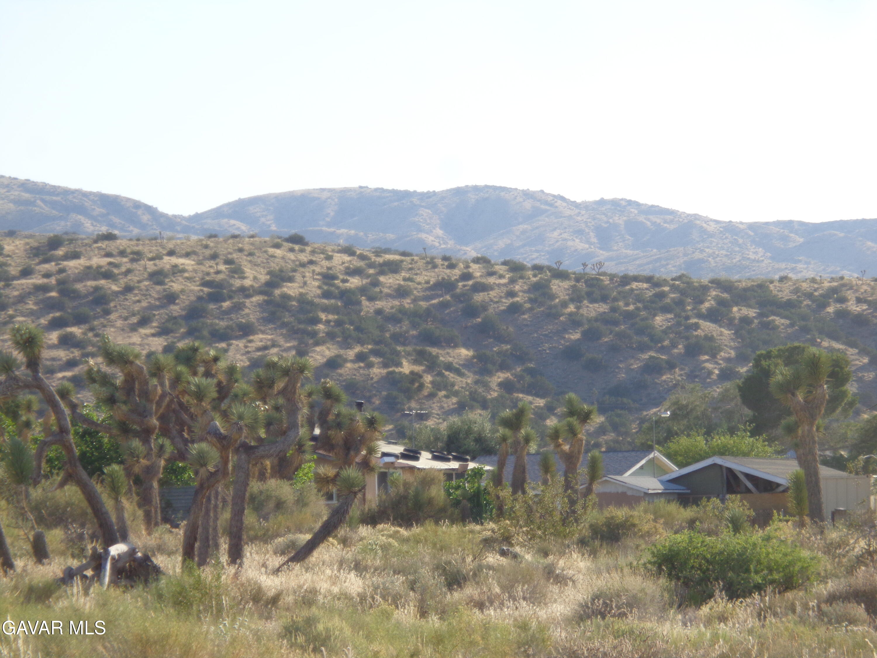 1 Pearblossom Ca Littlerock, CA 93543 - Photo 11 of 21 DSC03786