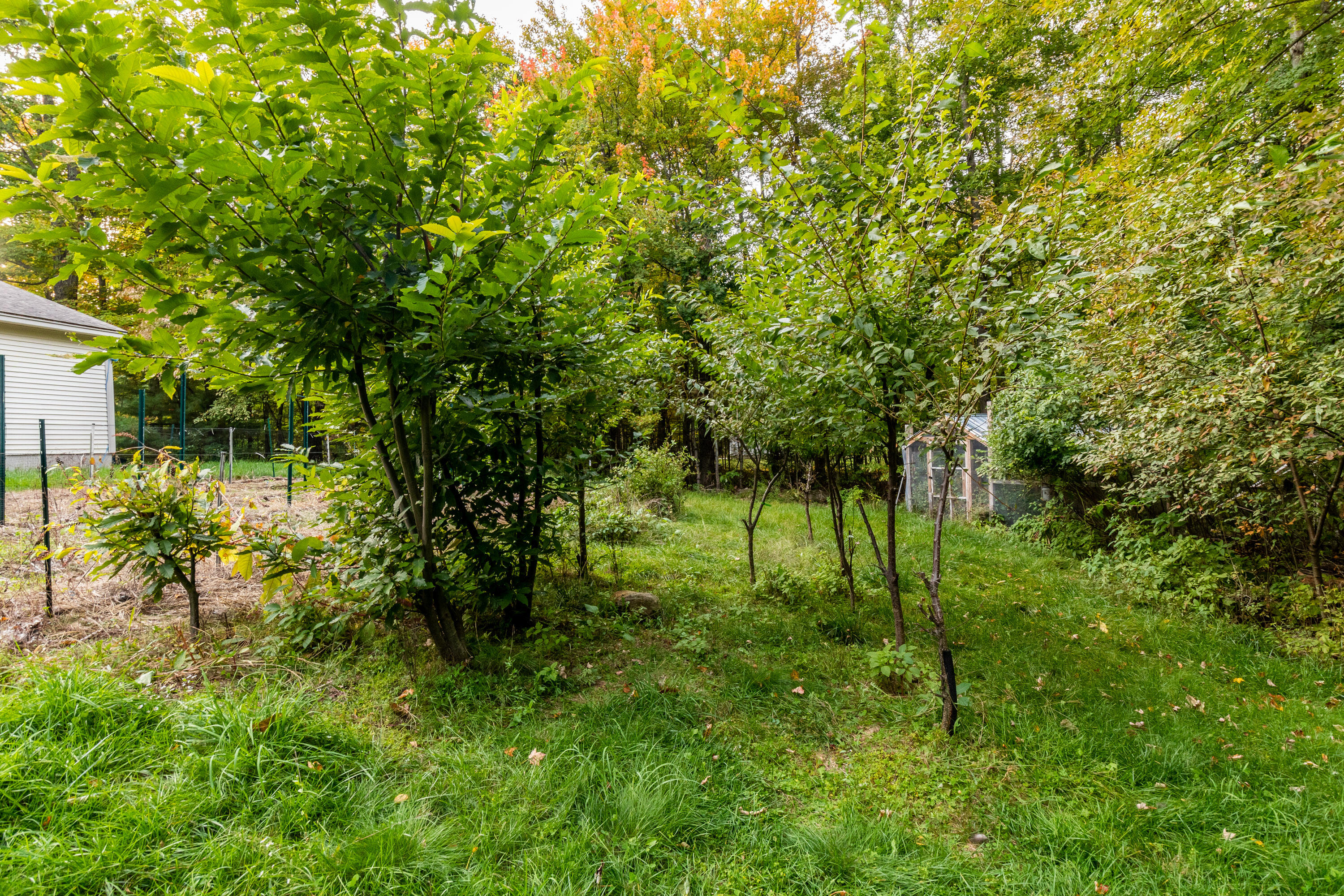 975 West Road Waterboro, ME 04087 - Photo 61 of 79 20221003ms-82072