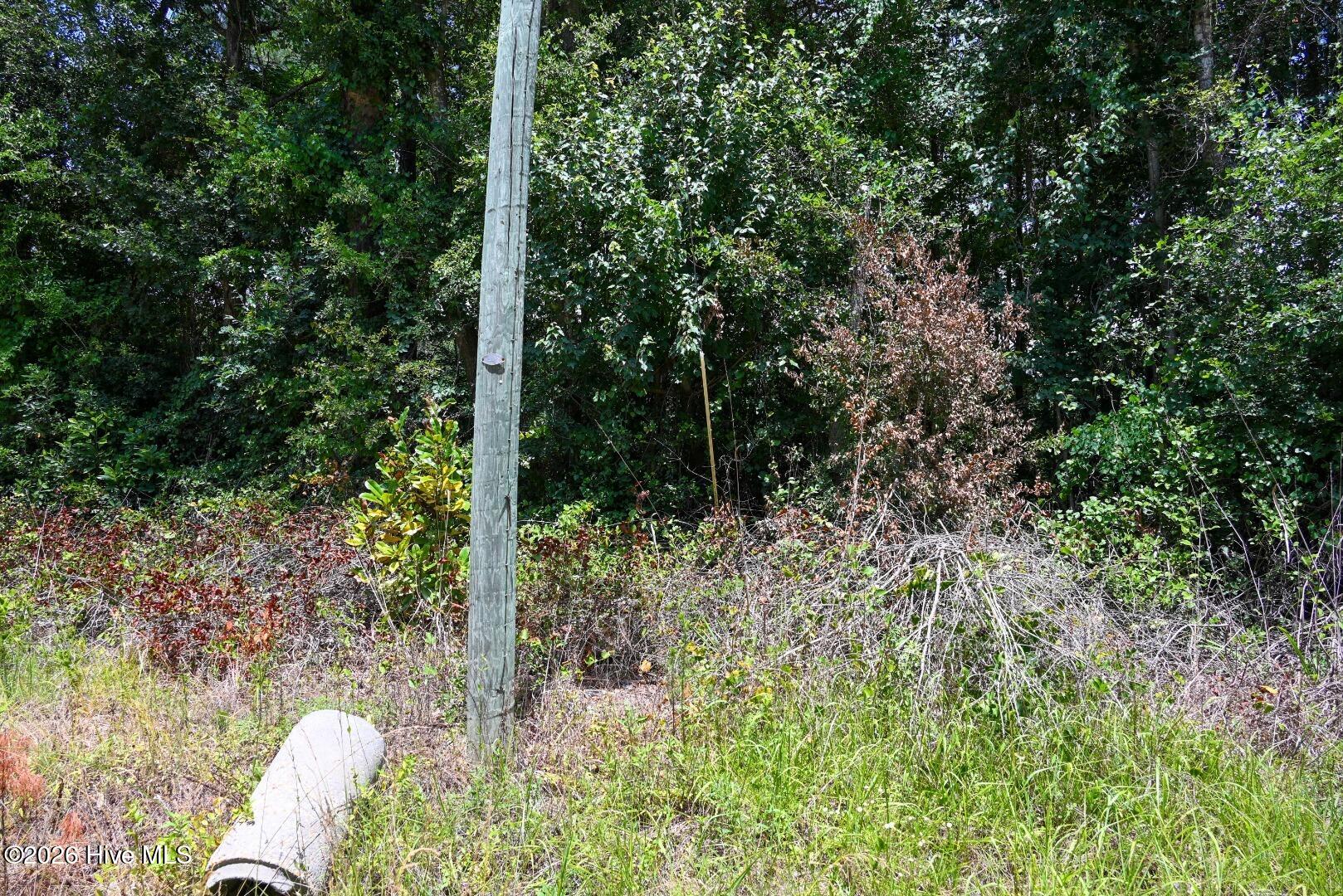 0 Rooks Road Atkinson, NC 28421 - Photo 68 of 117