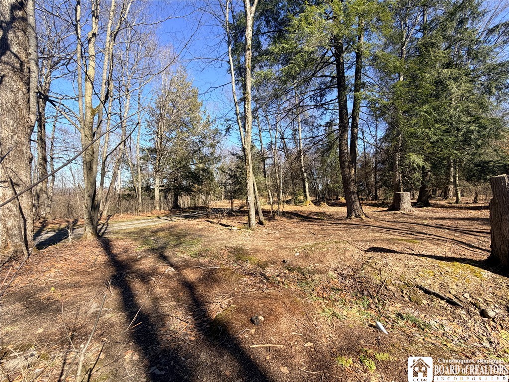 1154 Little Loop Road Portville, NY 14760 - Photo 6 of 7