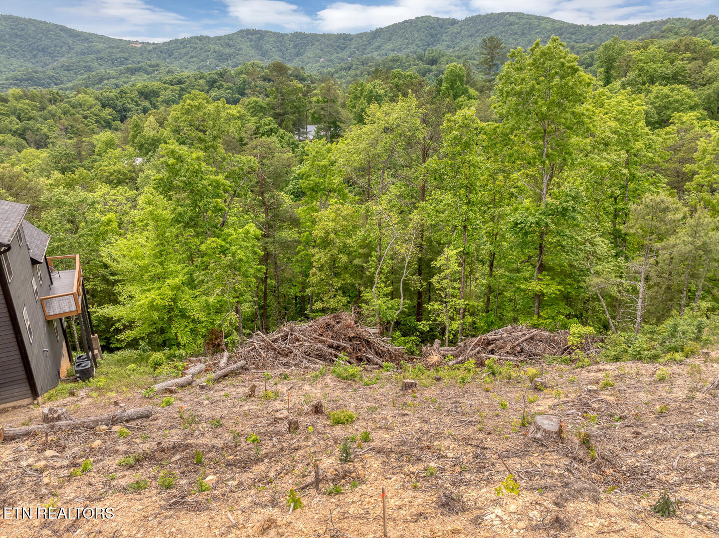 210 Cutter Gap Road Townsend, TN 37882 - Photo 9 of 10 DJI_0580-2