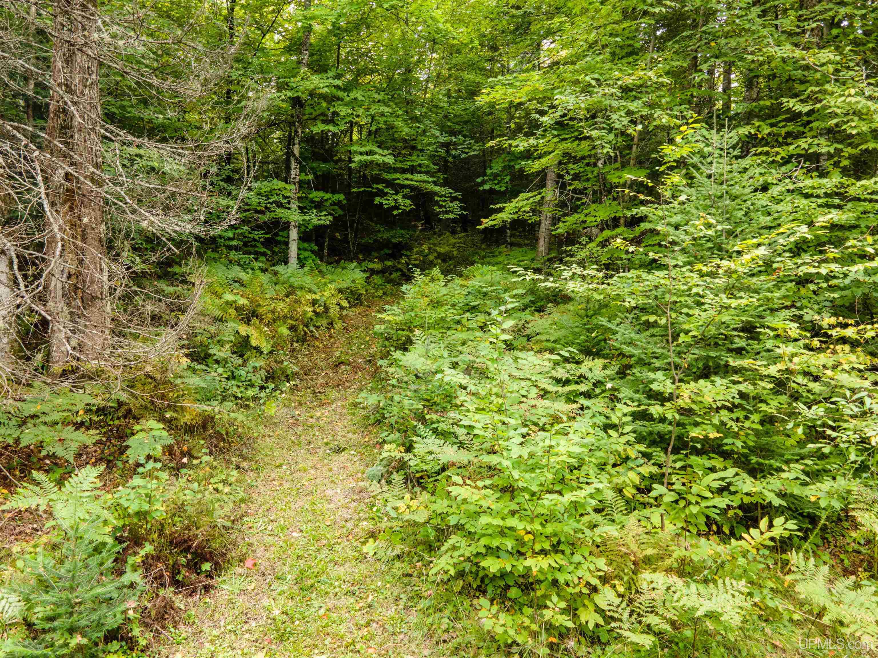 6823 County 601 Road Republic, MI 49879 - Photo 29 of 33