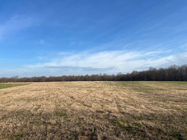 0 Fountain Grove Road Morrison, TN 37357 - Photo 1 of 2 a view of an ocean
