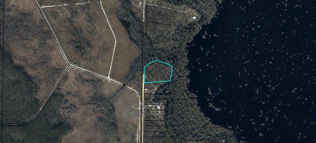 Tbd Bea Bea Road Wewahitchka, FL 32465 - Photo 2 of 9