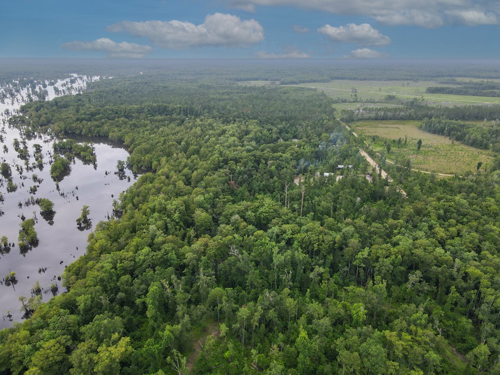 Tbd Bea Bea Road Wewahitchka, FL 32465 - Photo 8 of 9