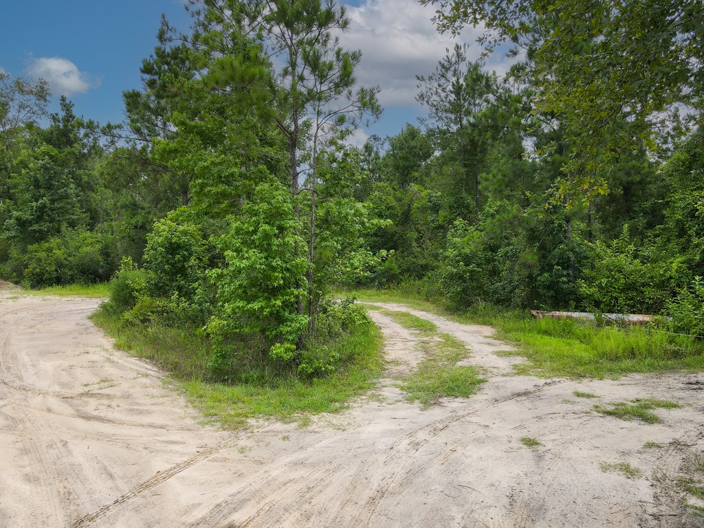 Tbd Bea Bea Road Wewahitchka, FL 32465 - Photo 9 of 9