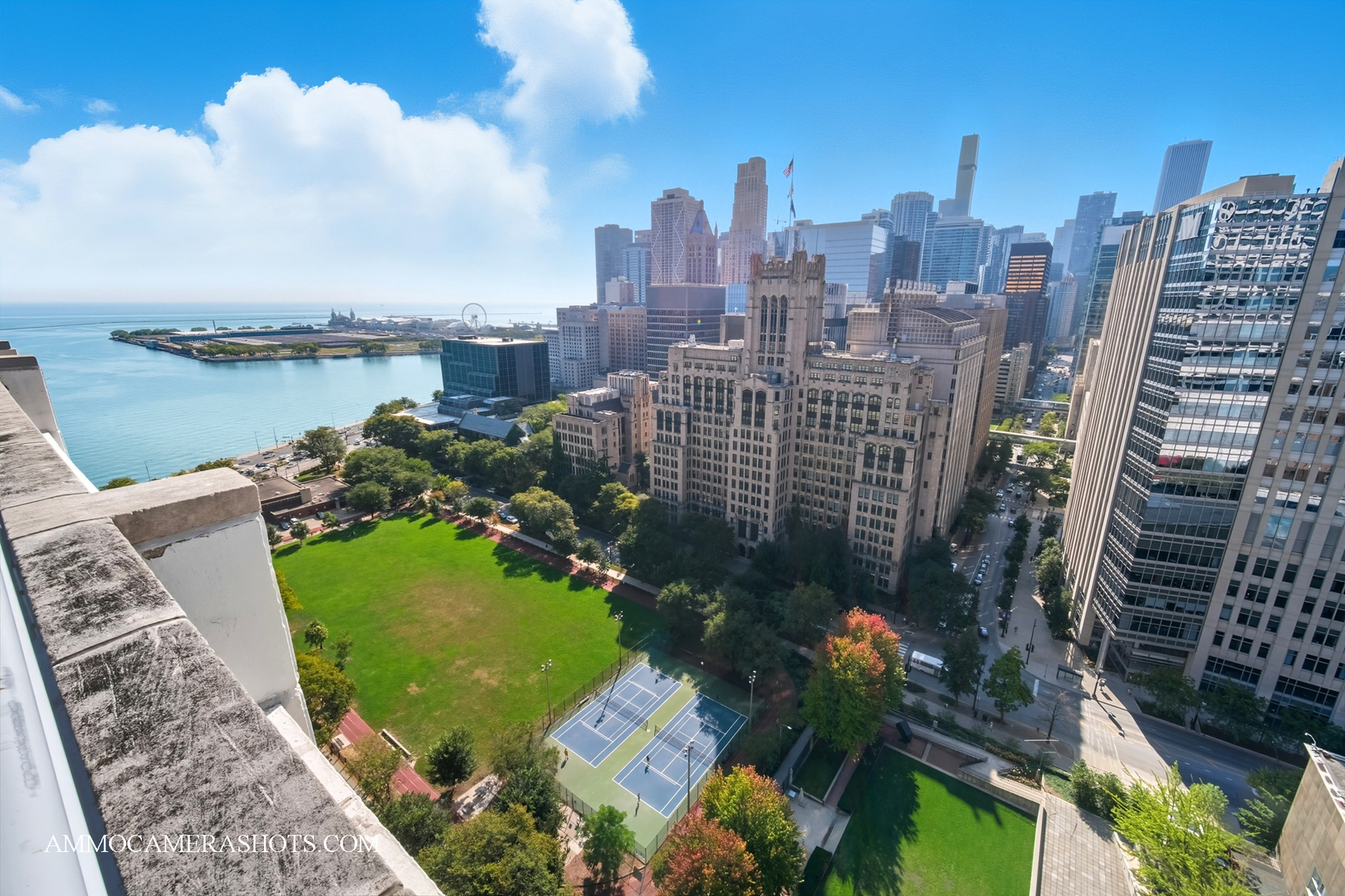 222 East Pearson Street, Unit 1406 Chicago, IL 60611 - Photo 28 of 29