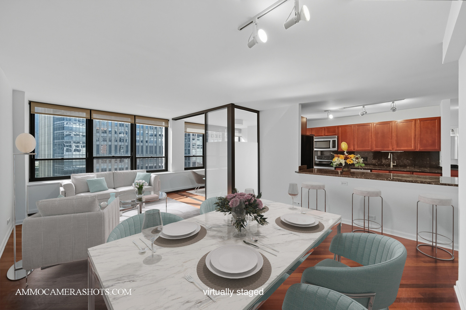 222 East Pearson Street, Unit 1406 Chicago, IL 60611 - Photo 3 of 29