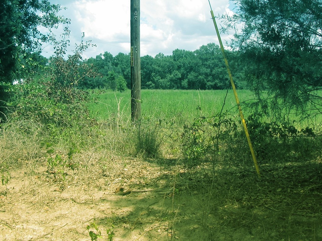 0 Eudon Best Road Ashford, AL 36312 - Photo 3 of 9 Gallery Image 3
