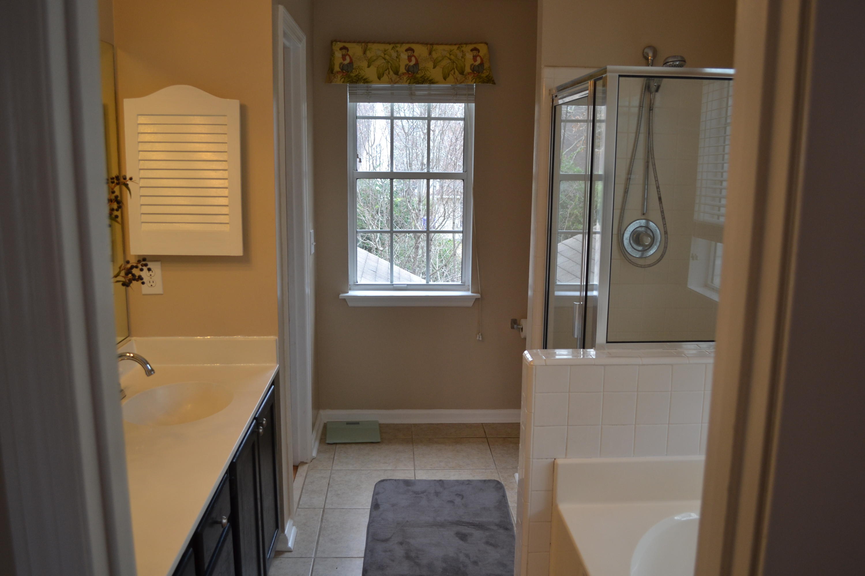 3266 Tabor Road Mount Pleasant, SC 29466 - Photo 5 of 17 Master bath view 2