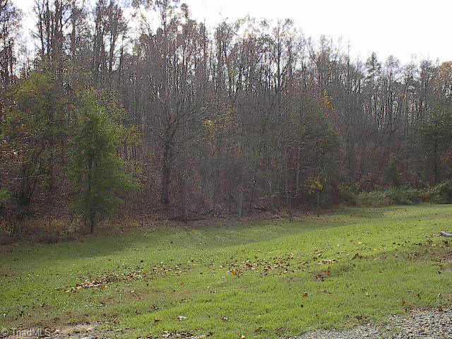 0 Ridge Road Walkertown, NC 27051 - Photo 2 of 2 Other.