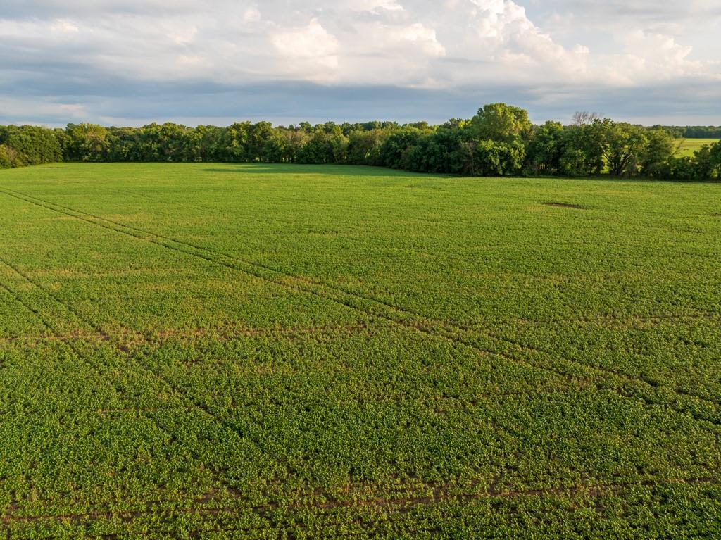 Tbd Northeast 500th Road Warrensburg, MO 64093 - Photo 18 of 40
