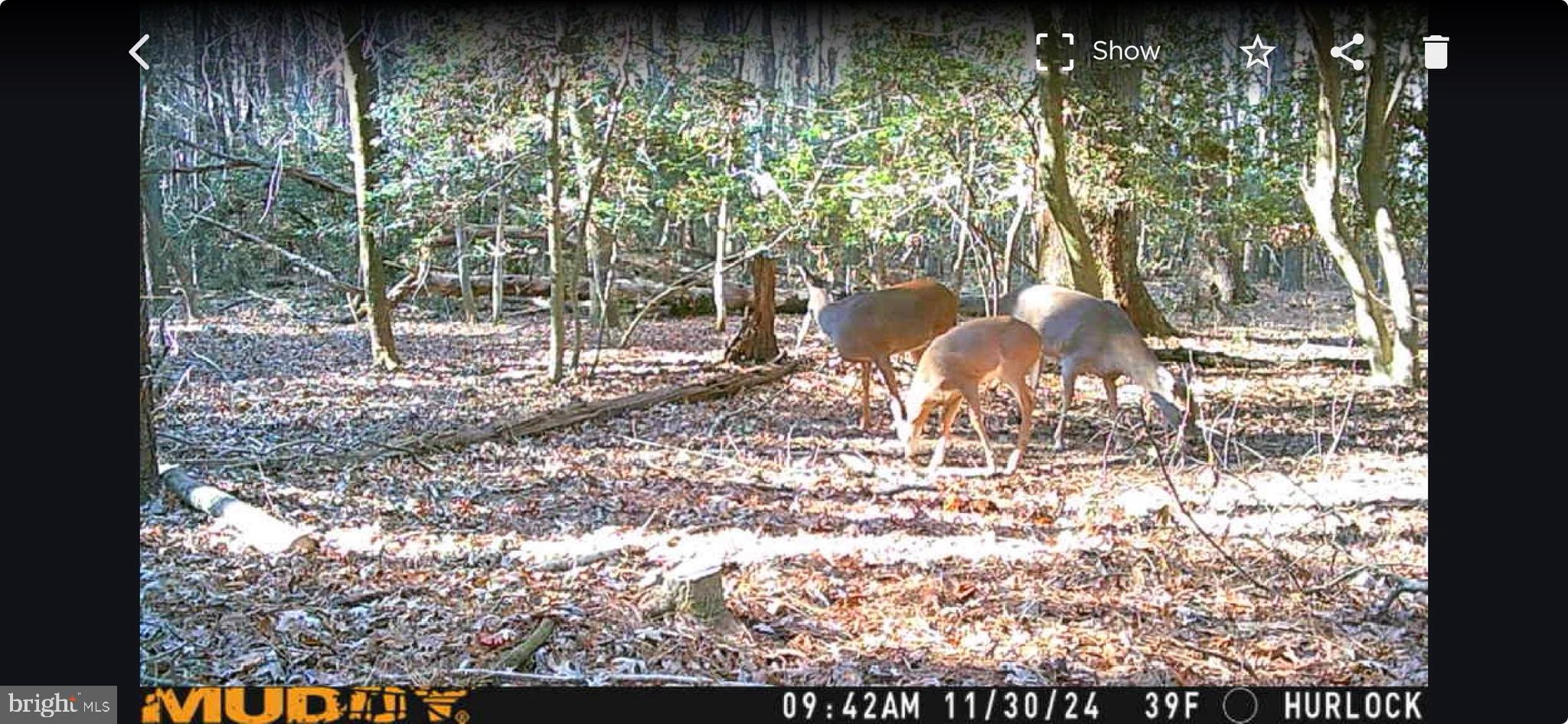 0 Osborne Road Hurlock, MD 21643 - Photo 7 of 18 Gallery Image 7