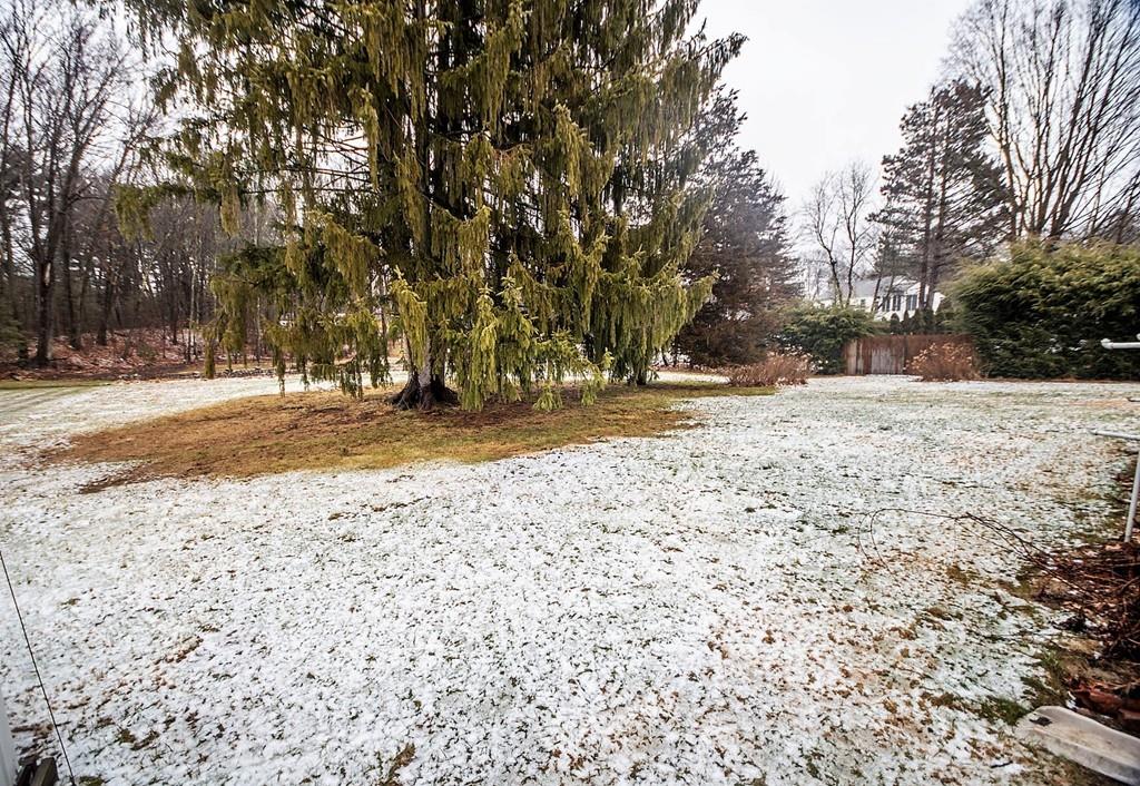 37 Sylvester Road Natick, MA 01760 - Photo 3 of 13 Gallery Image 3