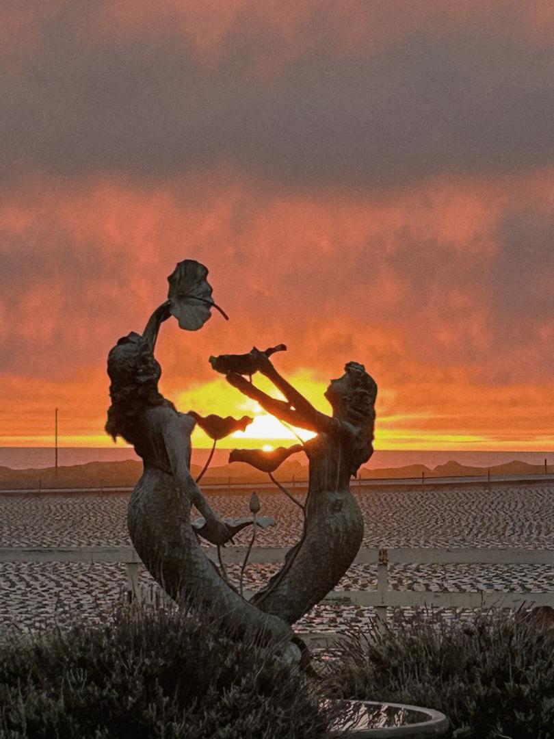 260 Giberson Road Moss Landing, CA 95039 - Photo 3 of 3