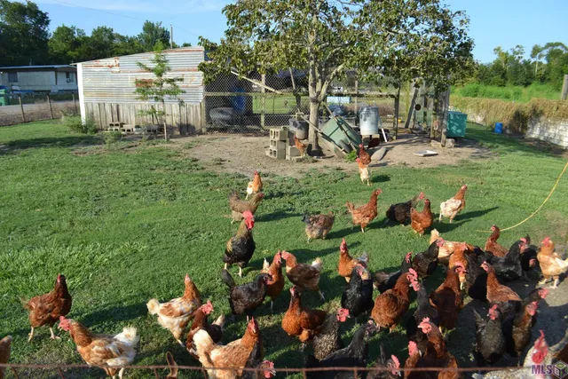 $200,000 | 256 East 25th Place, Larose, LA 70373