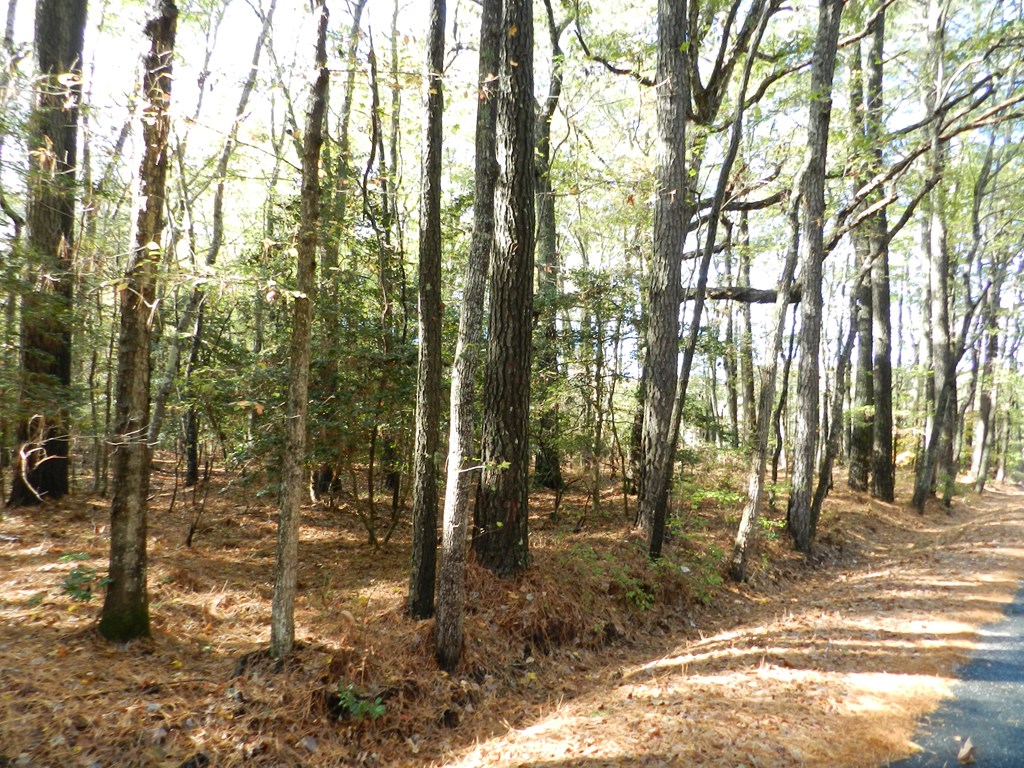 Lot E2 Battle Point Road, Unit E2 Exmore, VA 23350 - Photo 2 of 22