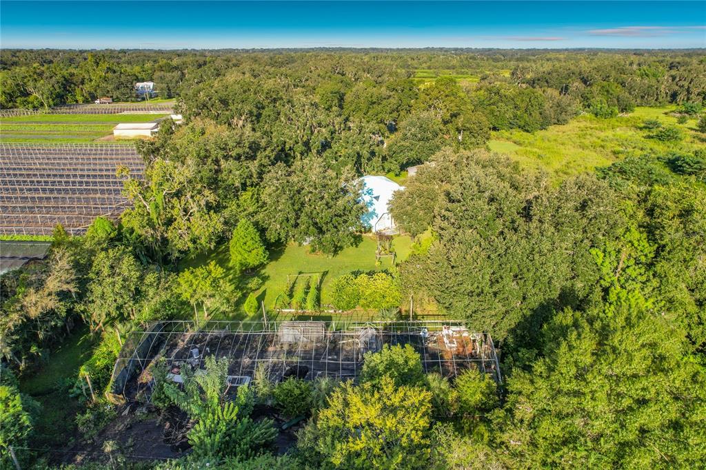 2320 Bogaert Road Seffner, FL 33584 - Photo 61 of 69 Gallery Image 61