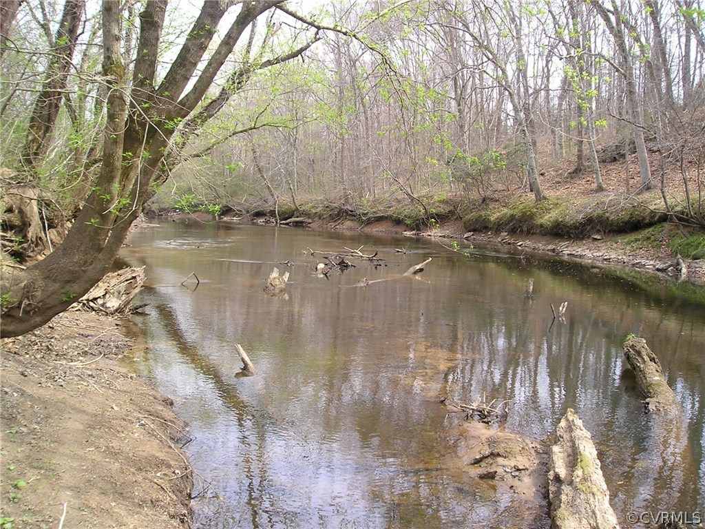 0 Robertson Town Road Bumpass, VA 23024 - Photo 2 of 6 Gallery Image 2