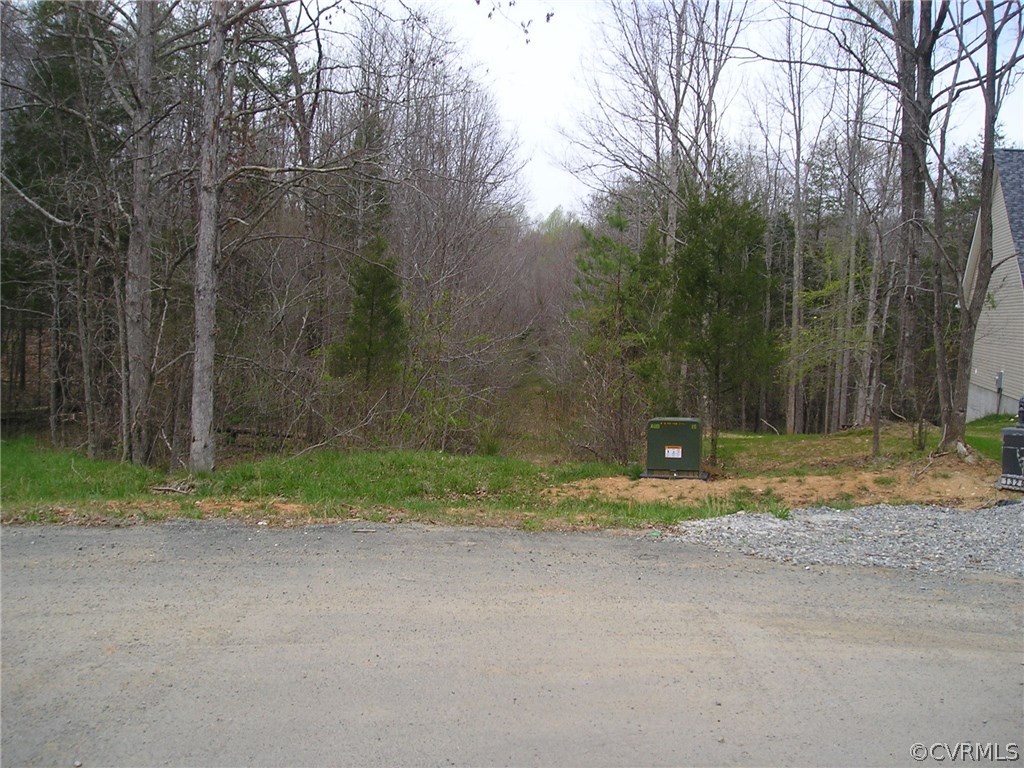 0 Robertson Town Road Bumpass, VA 23024 - Photo 4 of 6 Gallery Image 4