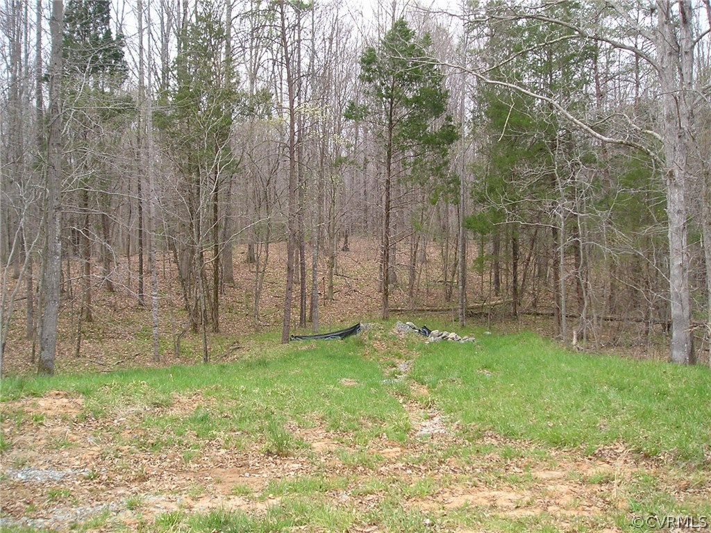 0 Robertson Town Road Bumpass, VA 23024 - Photo 5 of 6 Gallery Image 5