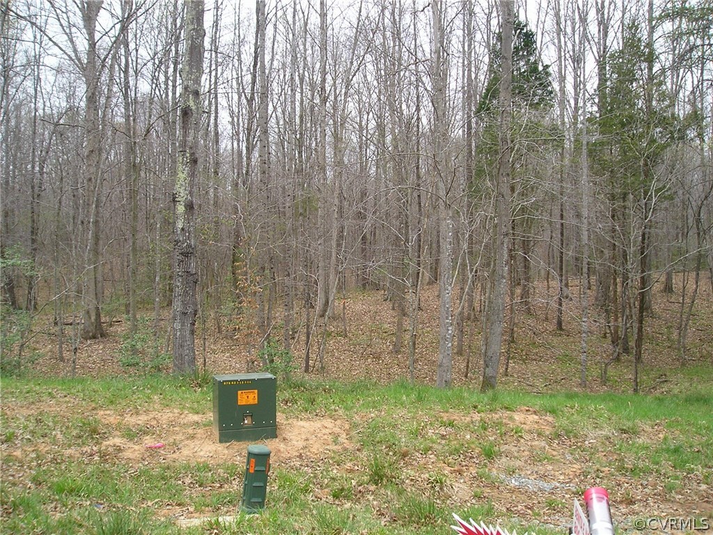 0 Robertson Town Road Bumpass, VA 23024 - Photo 6 of 6 Gallery Image 6