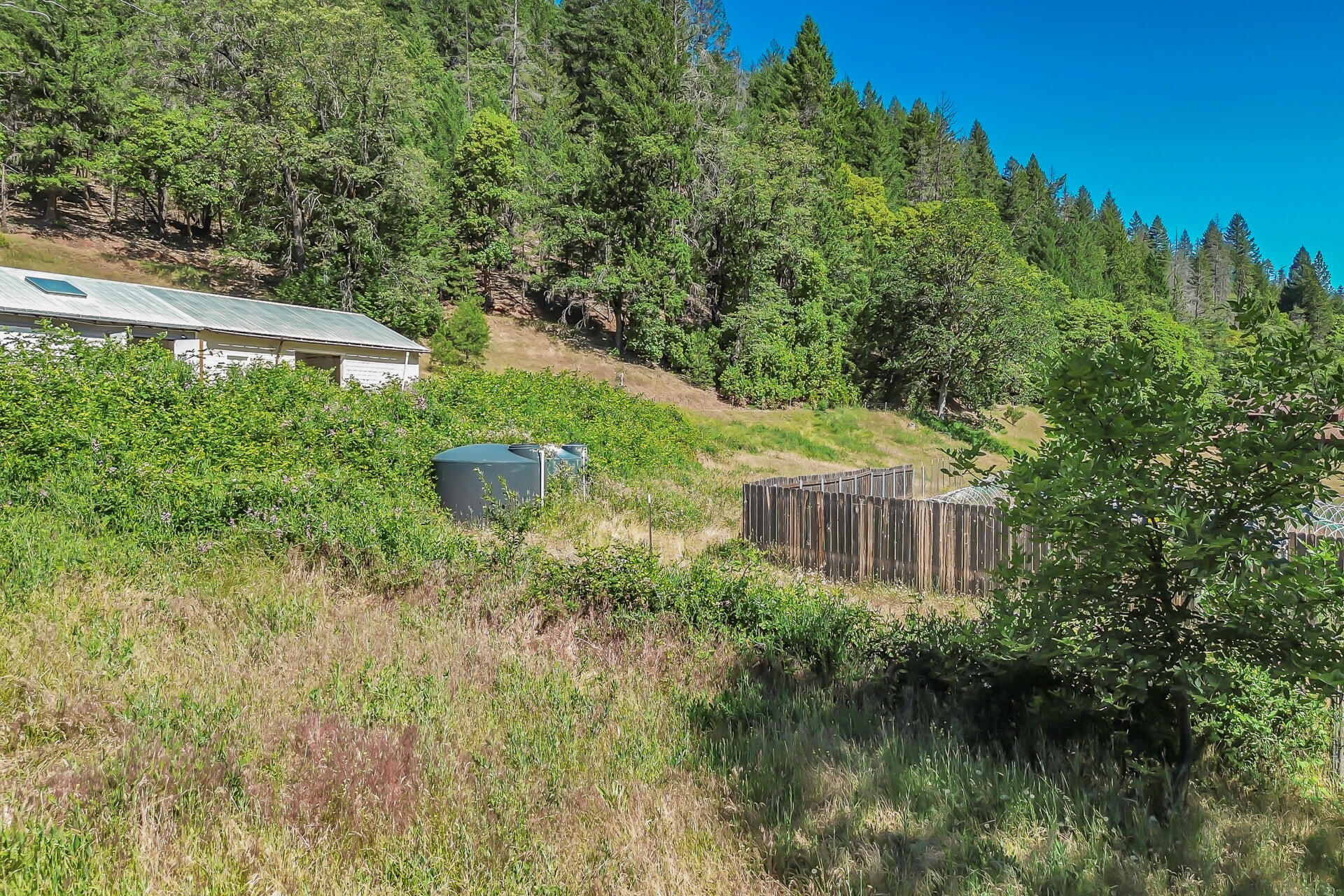 351 B-Bar-K Road Douglas City, CA 96024 - Photo 37 of 77 351BBarKRanchRoad-43