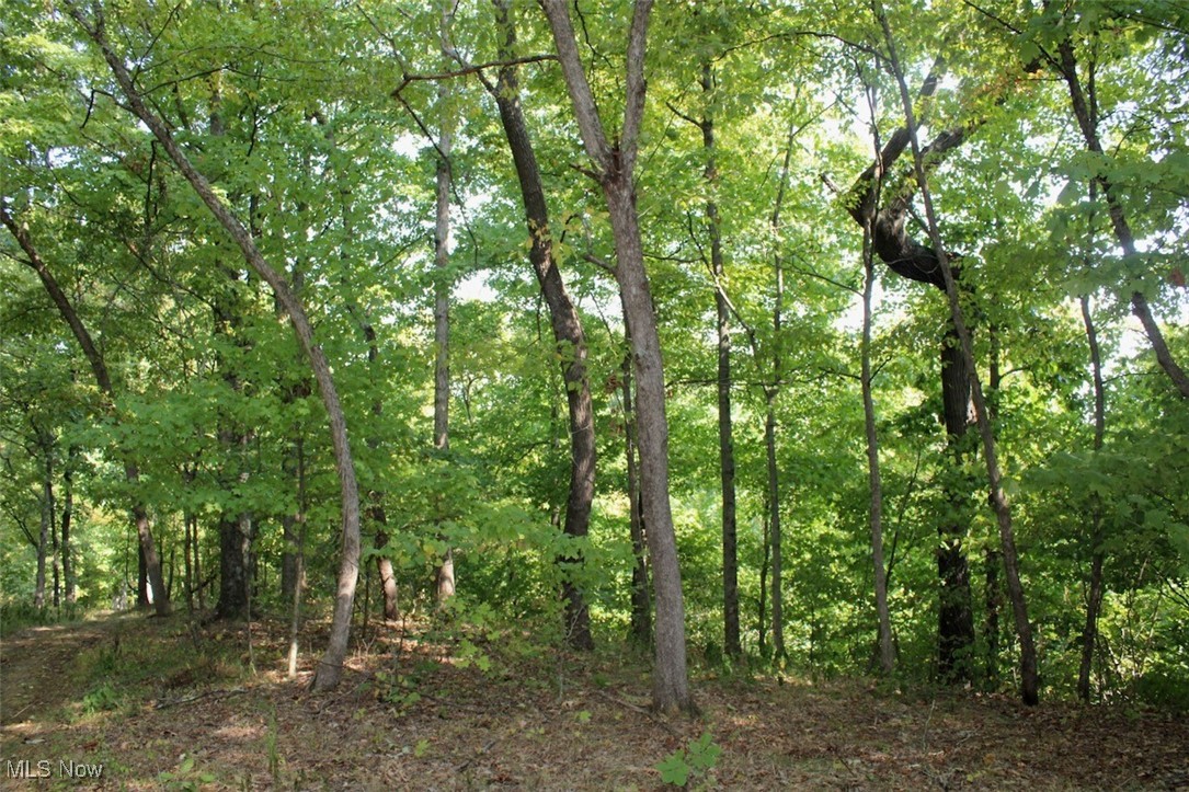 Leffler Road Roseville, OH 43777 - Photo 13 of 49 View of landscape