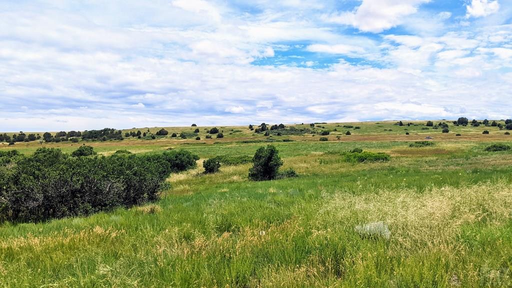 Tbd Tbd Piegans Rye, CO 81069 - Photo 10 of 23
