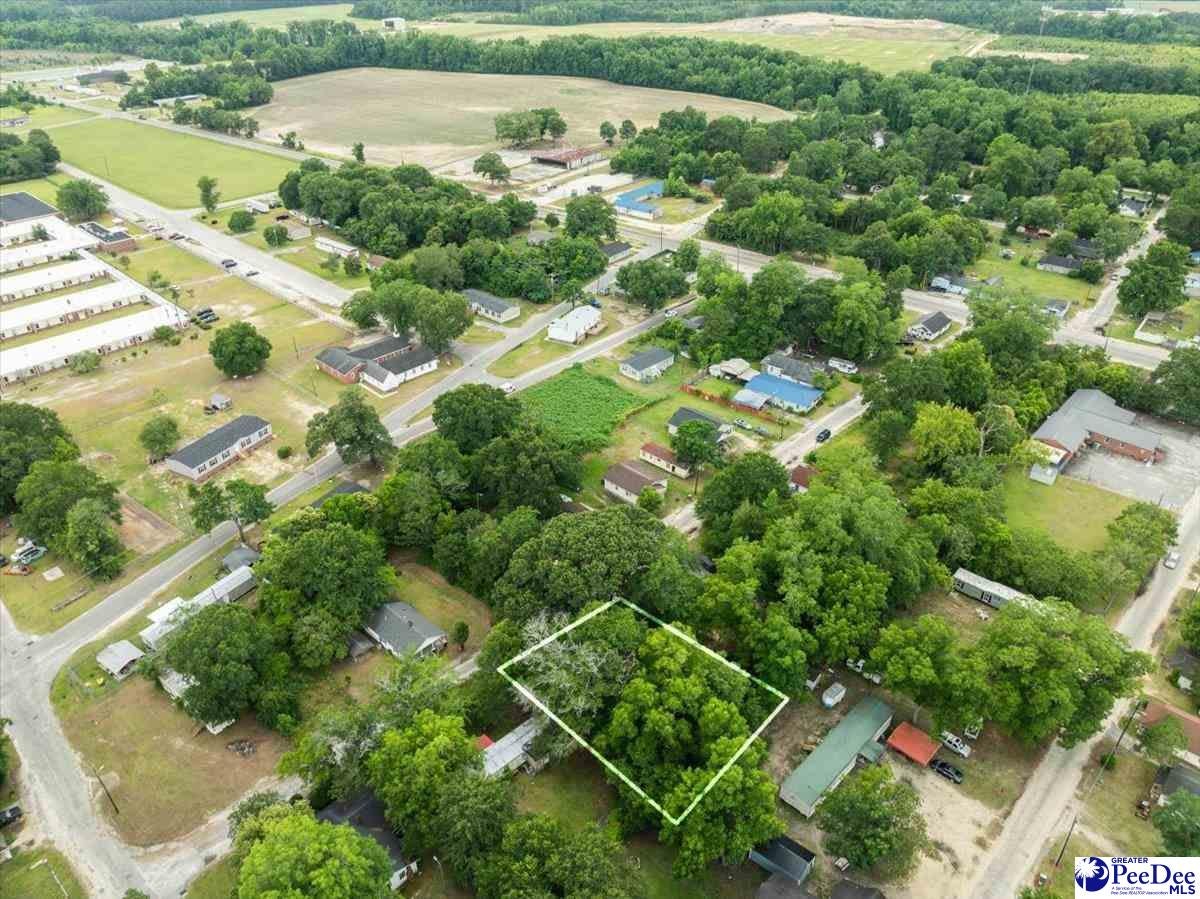 Tbd Mapletree Drive Dillon, SC 29536 - Photo 4 of 4 Gallery Image 4