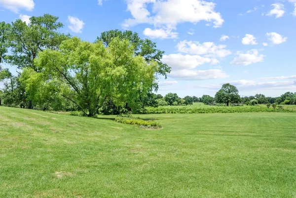 a view of a garden with patio