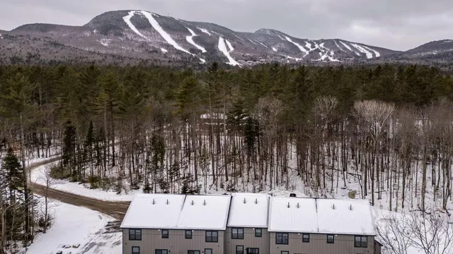 $699,000 | 12 Lodgepole Lane, Unit 12, Newry, ME 04261