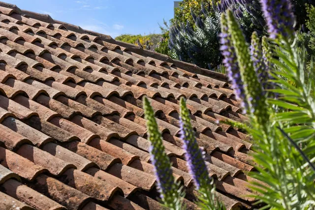 $22,000,000 | 125 Belvedere Avenue, Belvedere, CA 94920