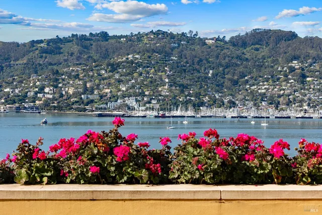 $22,000,000 | 125 Belvedere Avenue, Belvedere, CA 94920