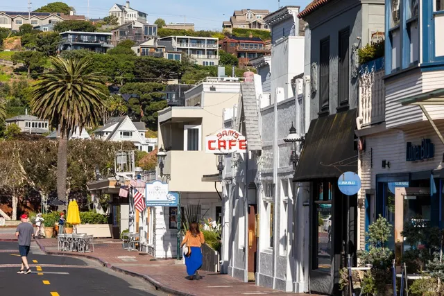 $22,000,000 | 125 Belvedere Avenue, Belvedere, CA 94920