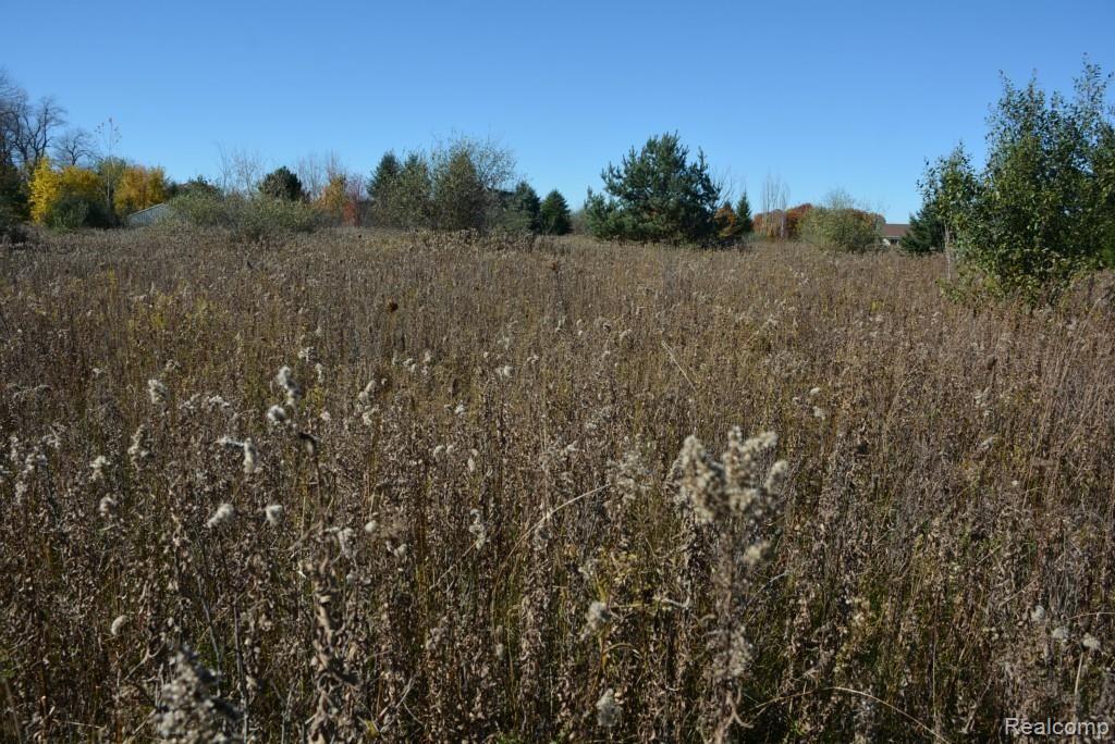 Vac Kidder Road Almont, MI 48003 - Photo 30 of 45