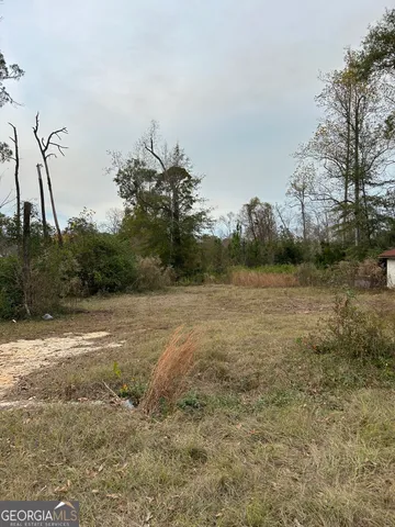 a view of a field with an ocean